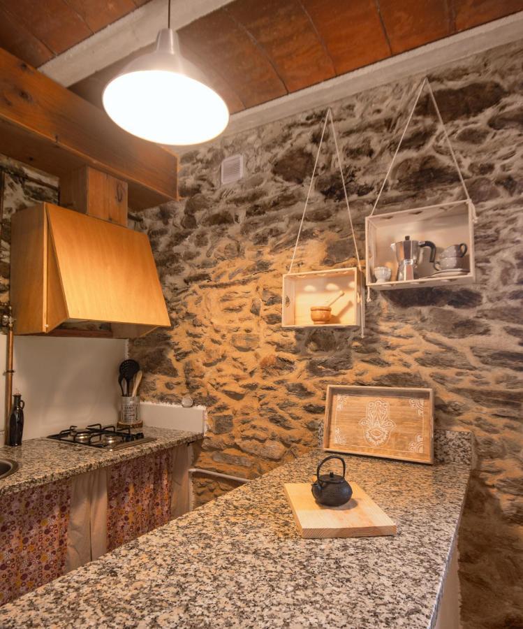 Apartamento Duplex Rural Con Chimenea Y Vistas Panoramicas Desde La Cama Sant Marti Sacalm Dış mekan fotoğraf